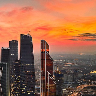 Консультант 🔍