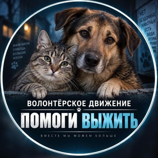 Волонтеры. Якт