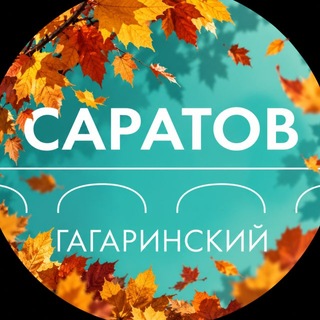 Департамент Гагаринского района Саратова
