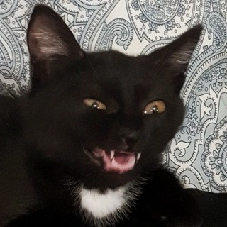 Отдушка