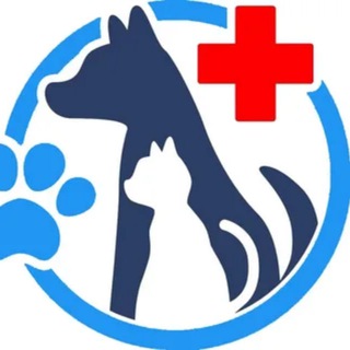 🐾VetMoment - brovecto/бравекто/nobivac/нобивак/вакцины/эурикан/propalin/Tricat Trio/Dhppi/Rabies/Ипакетин/Ветарил/Превик