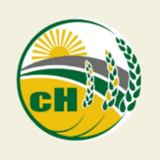 Сельская новь