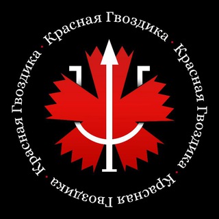 Красная Гвоздика