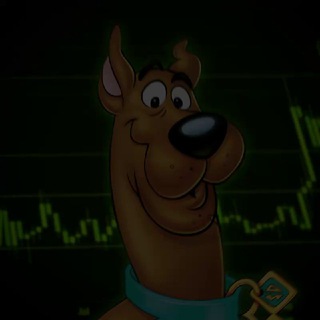 Scooby Change +88804720472 +888 04720472 +888 0472 0472 | Чат | Отзывы
