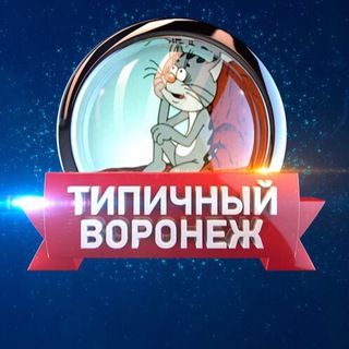 Типичный Воронеж 🐦‍⬛🦔
