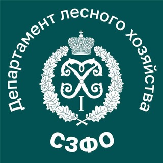 Департамент лесного хозяйства по СЗФО