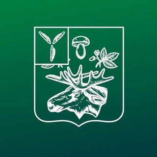 Базарно-Карабулакский район