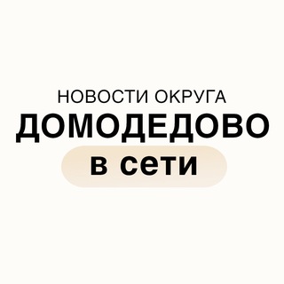 Домодедово в сети
