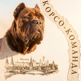 Corso_comanda
