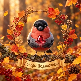 Доноры Подмосковья
