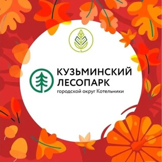 Кузьминский лесопарк | Котельники