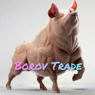 Borov Trade