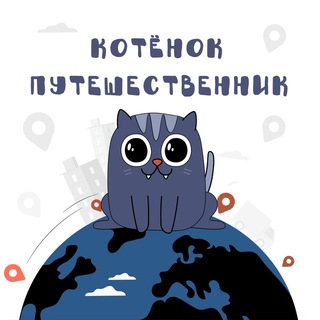 Котенок-путешественник