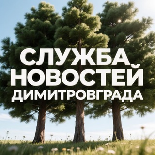 Служба новостей Димитровграда