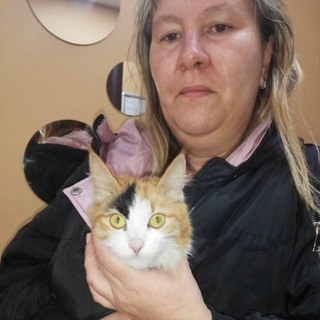МОХНАТЫЕ ЛАПКИ ПРИЮТ🐱🐱