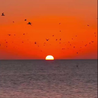 Рассветы и закаты ✨ Sunrise Sunset✨