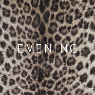EVENING