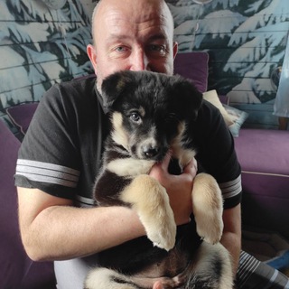 МартаДома🐾