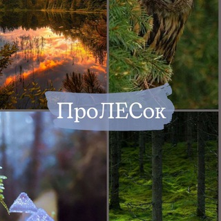 Лес./ ПроЛЕСок.