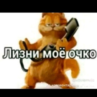 сын пи