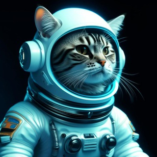 КотСмос