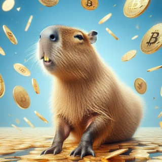 All In One Crypto🔥