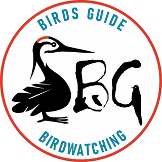 Birds Guide