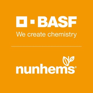 Nunhems BASF Россия