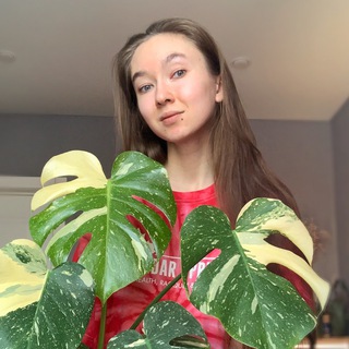 plants.sg