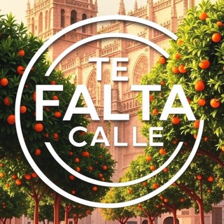 TE FALTA CALLE | испанский язык из солнечной Севильи🇪🇸