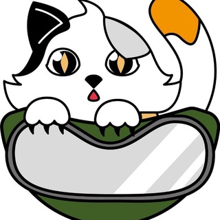Котоэкспресс
