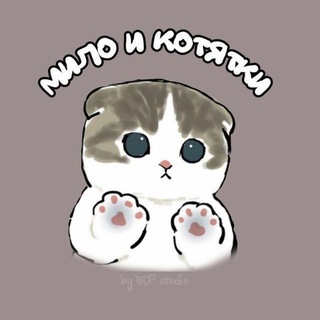 мило и котятки