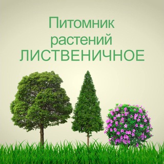 Питомник ЛИСТВЕНИЧНОЕ
