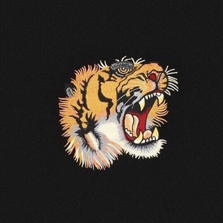 Cryptoguide 🐯