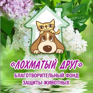 БФ "Лохматый друг"
