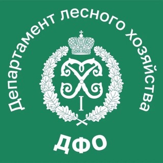 Департамент лесного хозяйства по ДФО