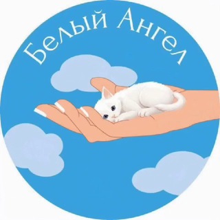 Приют #Белый_Ангел