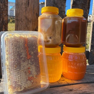 Алтайский Мед 🍯 Прополис Перга Пыльца Мумиё