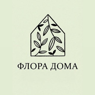 Флора дома: кашпо & растения